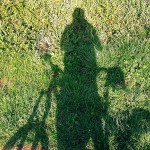 Bike shadow on grass