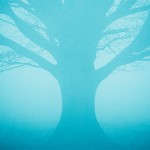 tree in fog silhouette