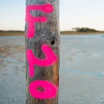 poles on sand
