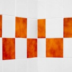 Toilet Tiles