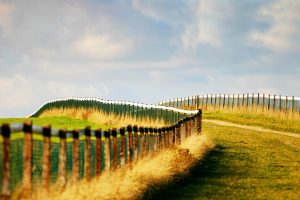 kingsclere Bridleway I