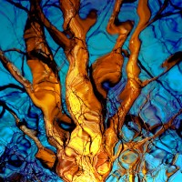 Tree Reflections #2