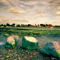 Bosham Stones