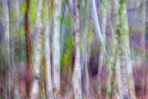 Horsell Abstract 1