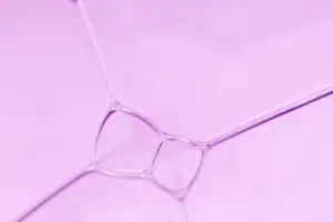 Spectacles
