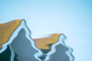 Rooftop Reflections